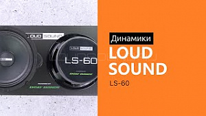 LOUD SOUND LS-60 с автографом Александра Винникова 4Ом