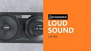 LOUD SOUND LS-65 с автографом Александра Винникова 4Ом