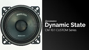 Dynamic State Custom Series CM-10.1 4Ом