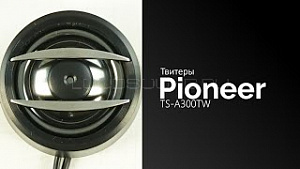 Pioneer TS-A300TW
