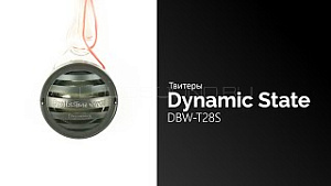 Dynamic State DBW-T28S