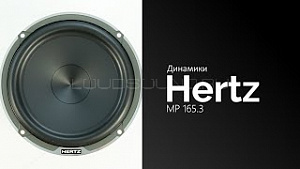 Hertz MP 165.3