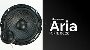 Aria FORTE 165.2K