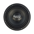 Dynamic State Skif SKW-252 10" D2