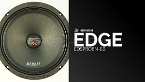 Edge EDSPRO8N-E0 4Ом