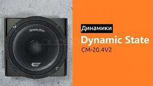 Dynamic State Custom Series CM-20.4v2 4Ом