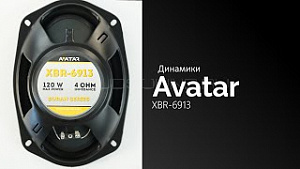 Avatar XBR-6913