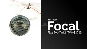 Focal Performance Flax Evo TAM (TWVE1043)