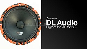 DL Audio Gryphon Pro 200 Midbass