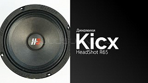HeadShot R65 4Ом