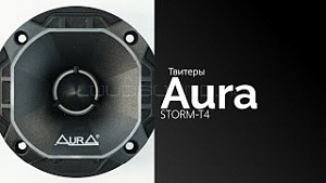 AurA Storm-T4 4Ом