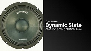 Dynamic State CM-20.1v2 (4Ohm) CUSTOM Series